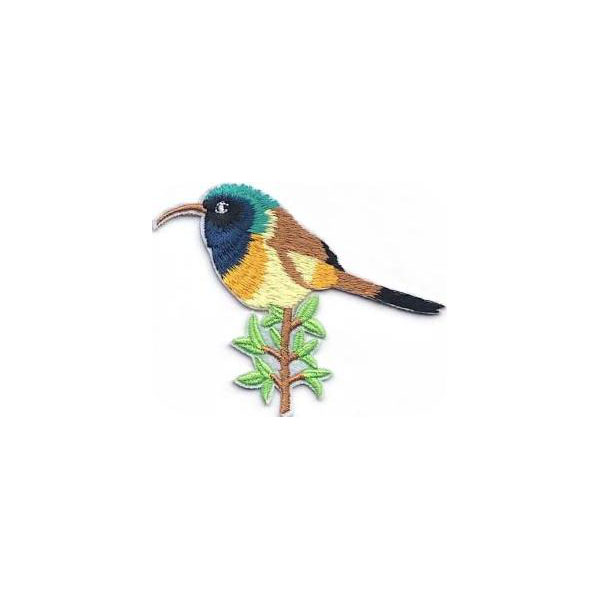 TOOTH BRUSH EFFECT 1